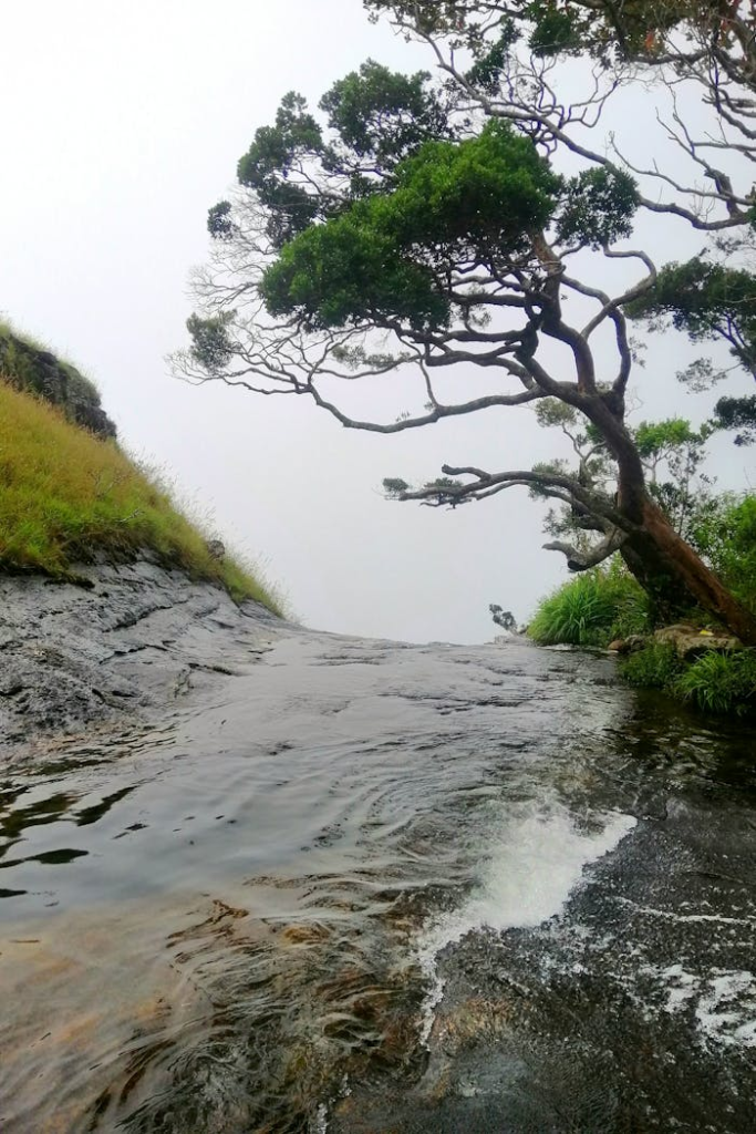 Diyaluma Falls Ticket Price