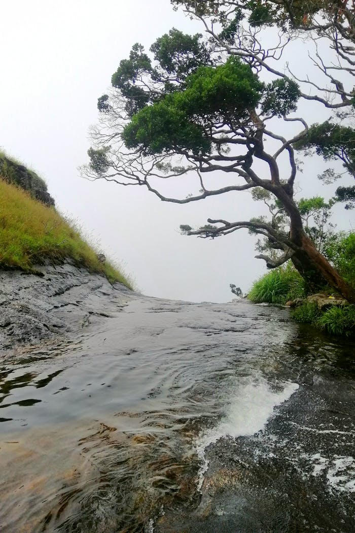 Tranquil waterfall with lush greenery and flowing water in Kandy, Sri Lanka.
