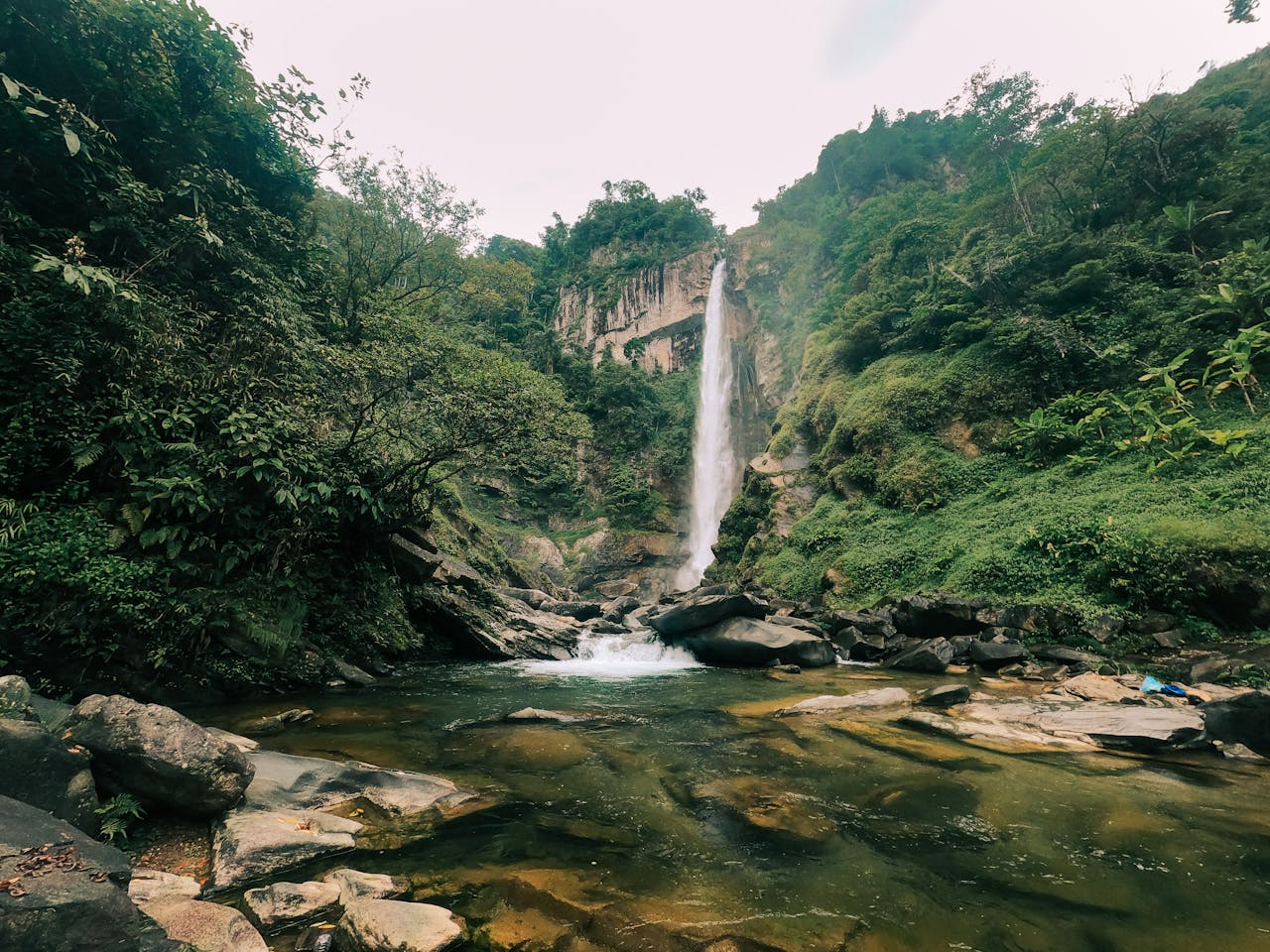 A cascading waterfall in a lush tropical forest setting, captured with vivid greenery and clear waters.